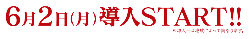 導入START!! ※導入日によって異なります。