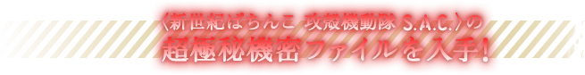 〈新世紀ぱちんこ 攻殻機動隊 STAND ALONE COMPLEX〉の超極秘機密ファイルを入手!!