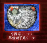 9課リーチ/草薙素子系リーチ